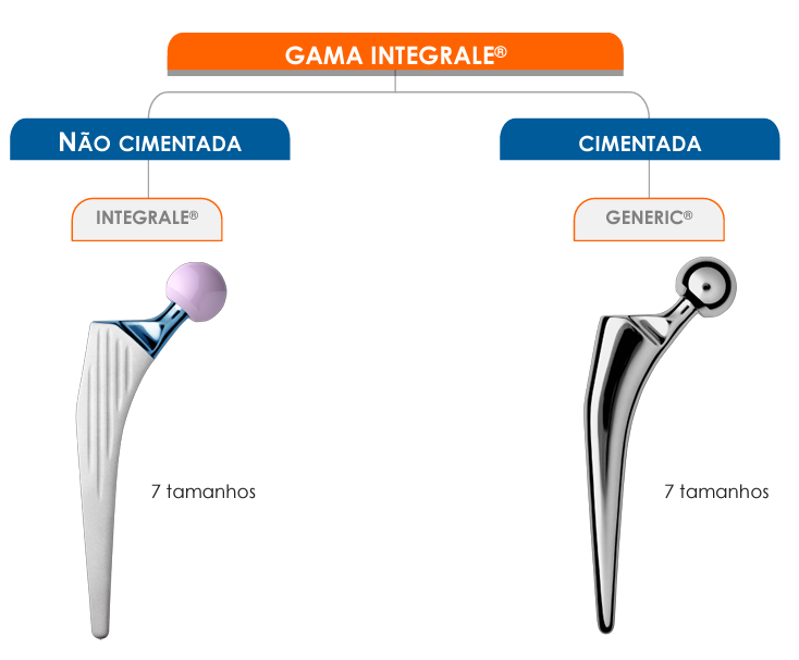 gama integrale